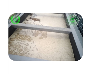 三項(xiàng)渦流氣浮運(yùn)行效果